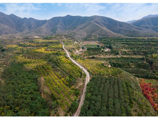 國內(nèi)園林綠化苗木產(chǎn)業(yè)哪家強(qiáng)？附花木區(qū)域分布說明